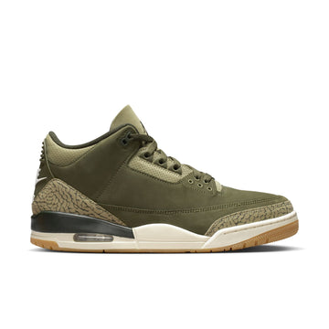Air Jordan 3 Retro (DN3707-202) "Family Affair"